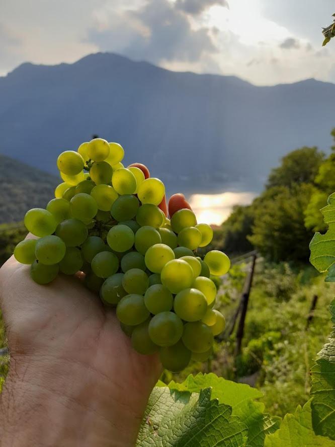 Cascina Teresina Villa Veleso Bagian luar foto